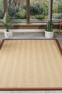 Bombay Border Chevron Sisal Rug