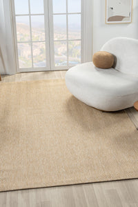 Bombay Chevron Sisal Rug