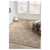 India Diamond Trellis Sisal Rug